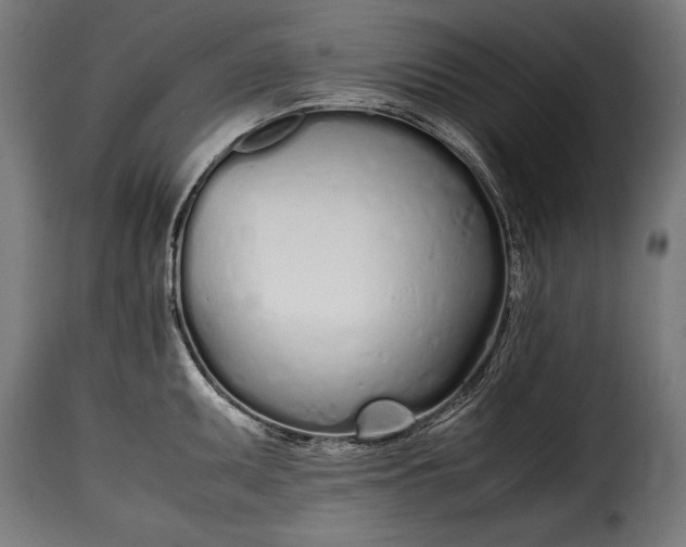 X0000115621095200911241618