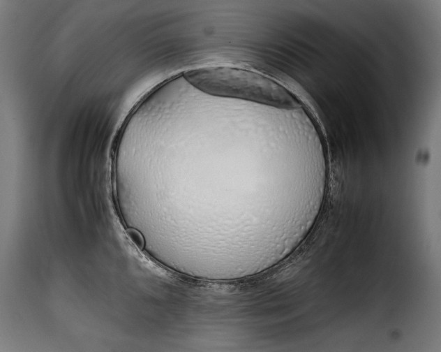 X0000115621096200911241618