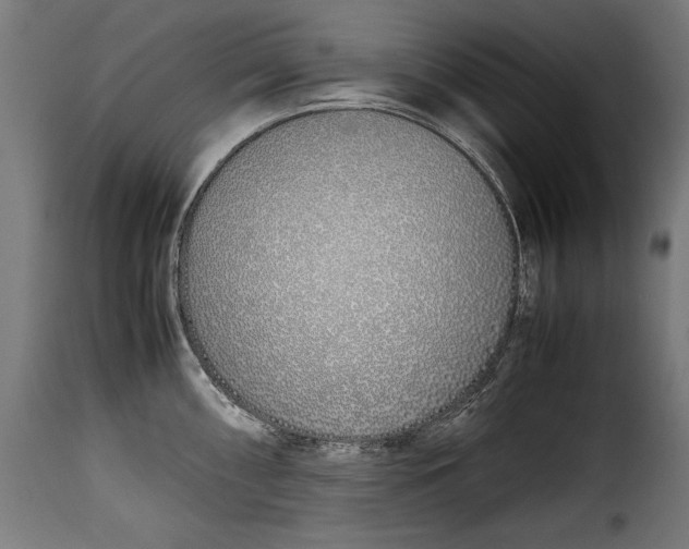 X0000115621098200911241618