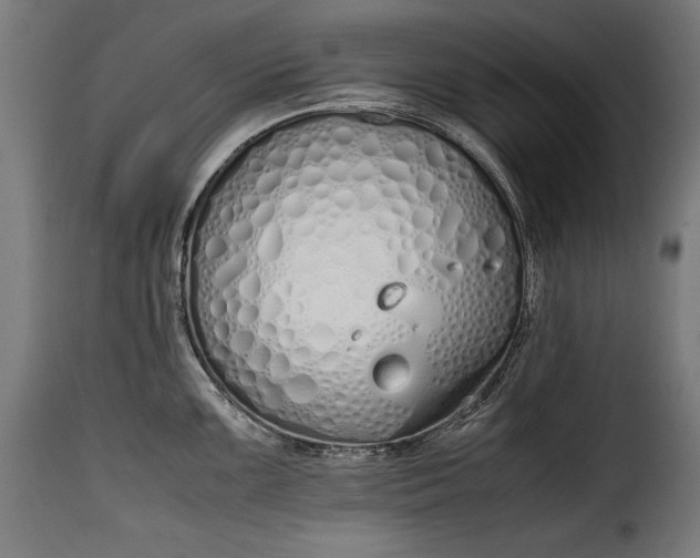 X0000115621099200911241618