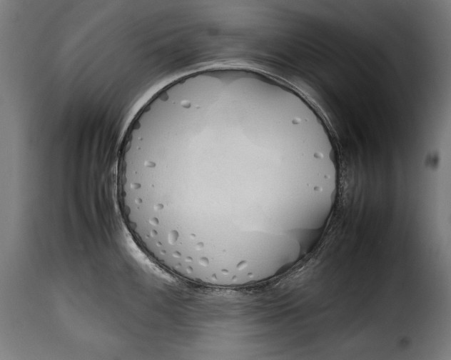 X0000115621100200911241618