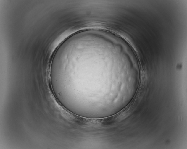 X0000115621101200911241618