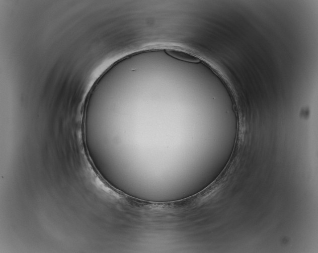 X0000115621102200911241618