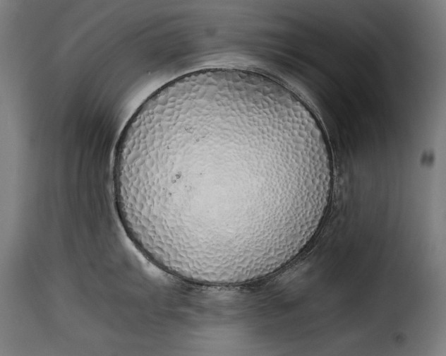 X0000115621103200911241618