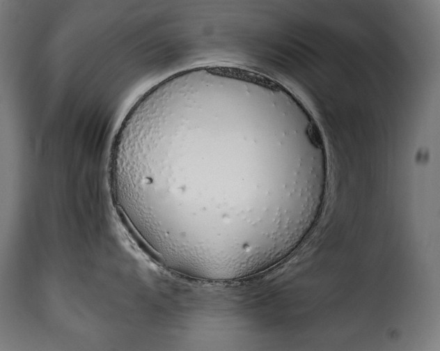 X0000115621104200911241618