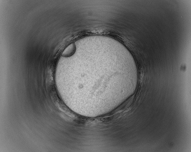 X0000115621106200911241617