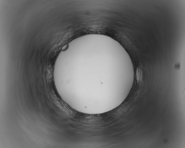 X0000115621107200911241617