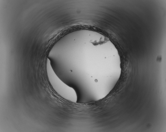 X0000115621110200911241617