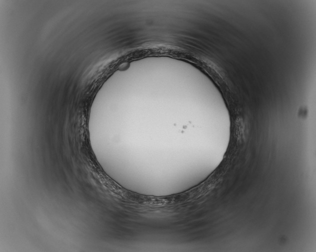 X0000115621111200911241617