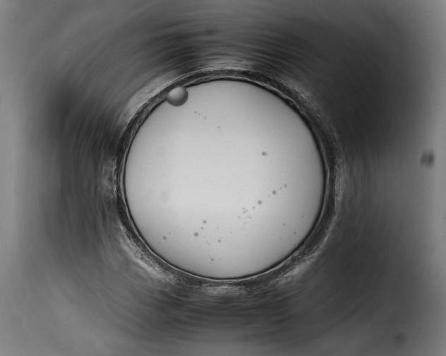 X0000115621113200911241617