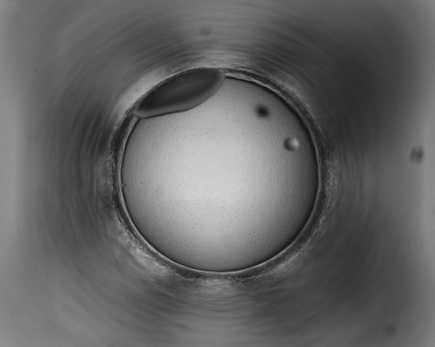 X0000115621114200911241617