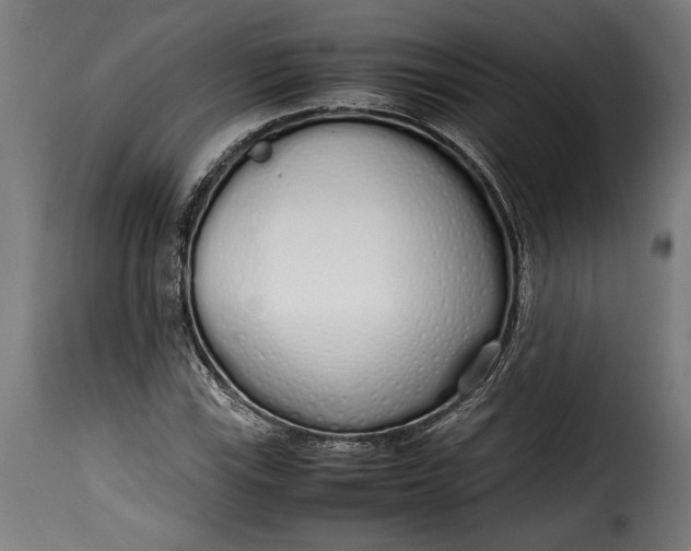 X0000115621115200911241617