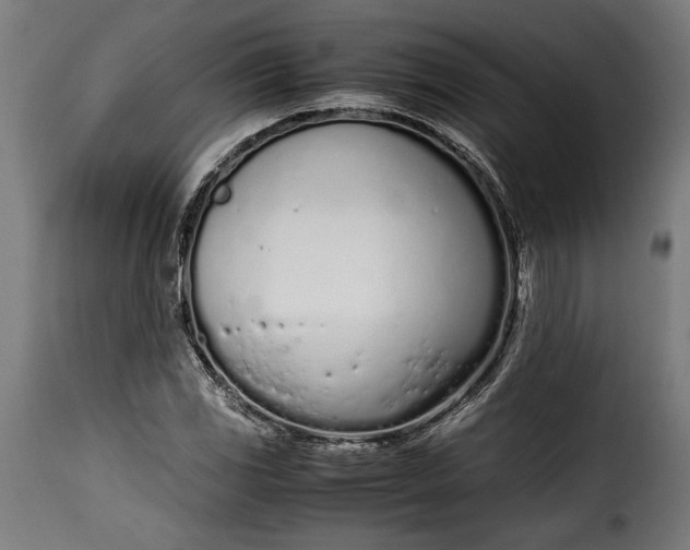 X0000115621117200911241617