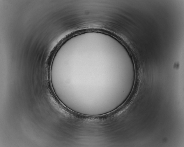 X0000115621118200911241617