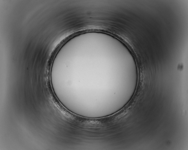 X0000115621119200911241617