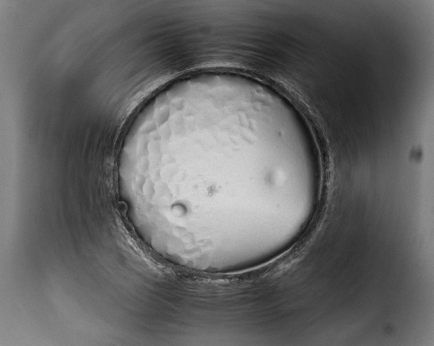 X0000115621121200911241617