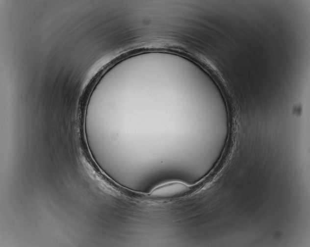 X0000115621122200911241617