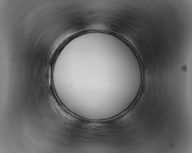 X0000115621123200911241617