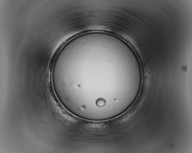 X0000115621125200911241618