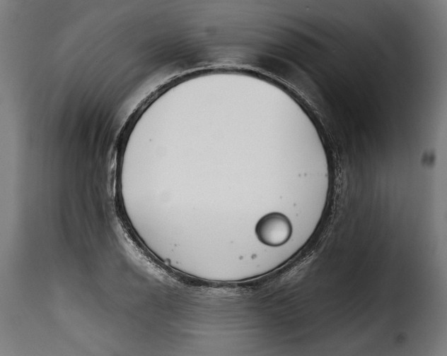 X0000115621126200911241618