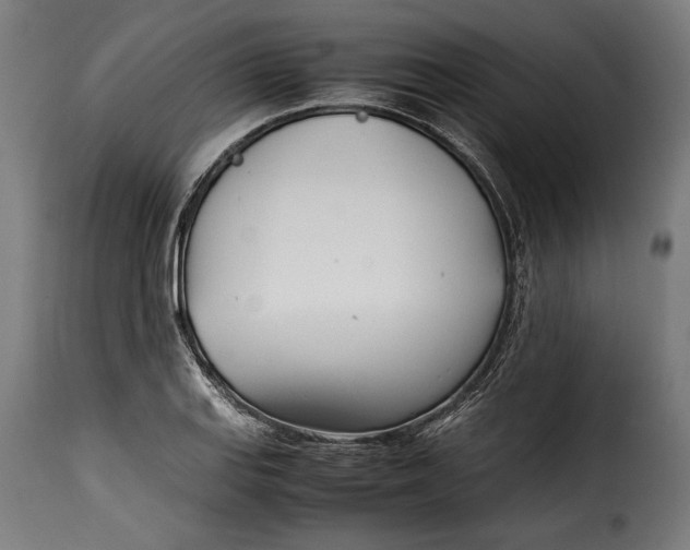 X0000115621127200911241618