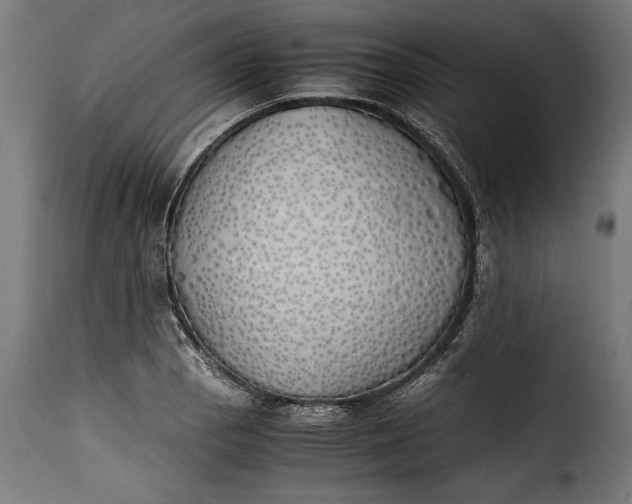 X0000115621129200911241618