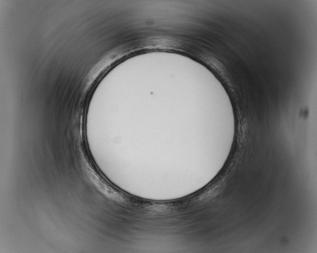 X0000115621130200911241618