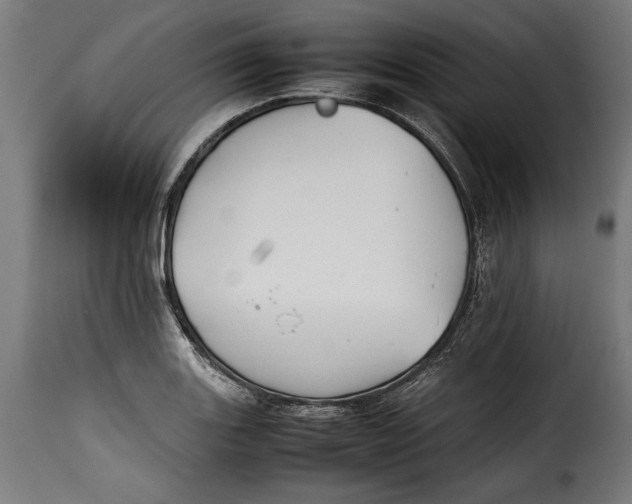 X0000115621131200911241618