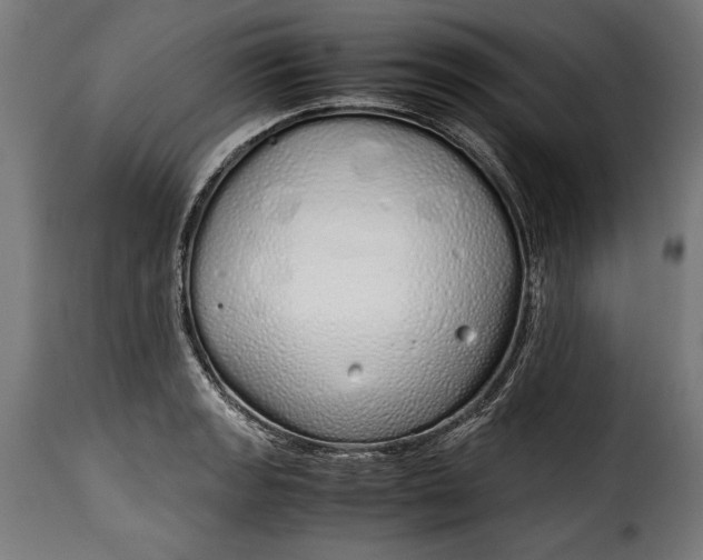 X0000115621133200911241618