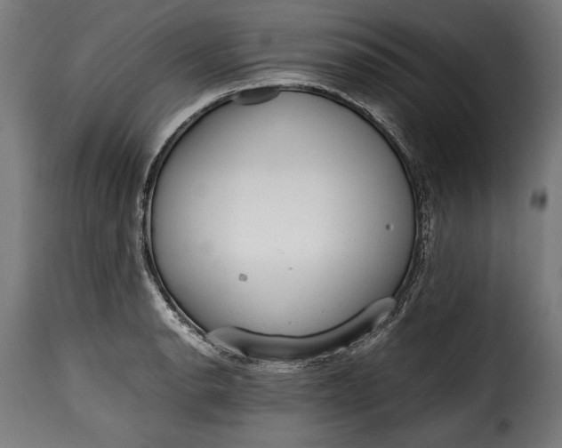 X0000115621134200911241618