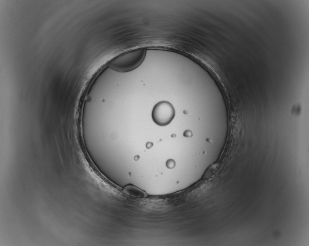 X0000115621135200911241618