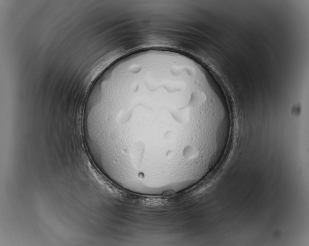 X0000115621137200911241618