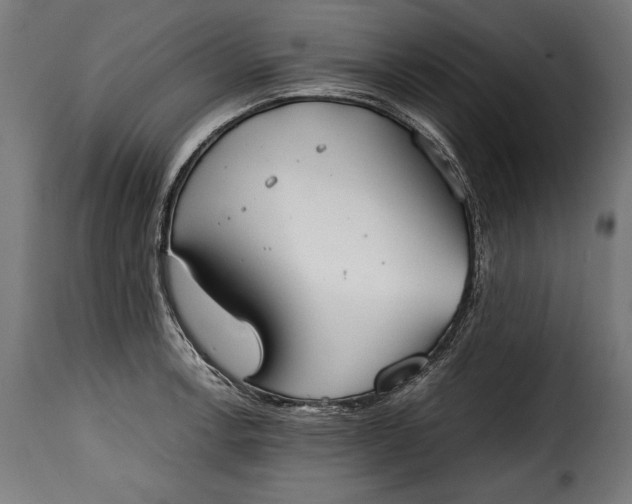 X0000115621138200911241618