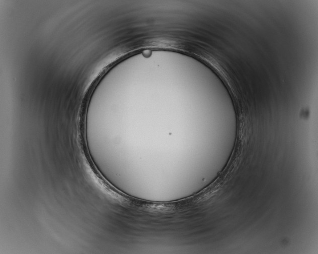 X0000115621139200911241618