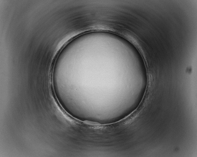 X0000115621141200911241618