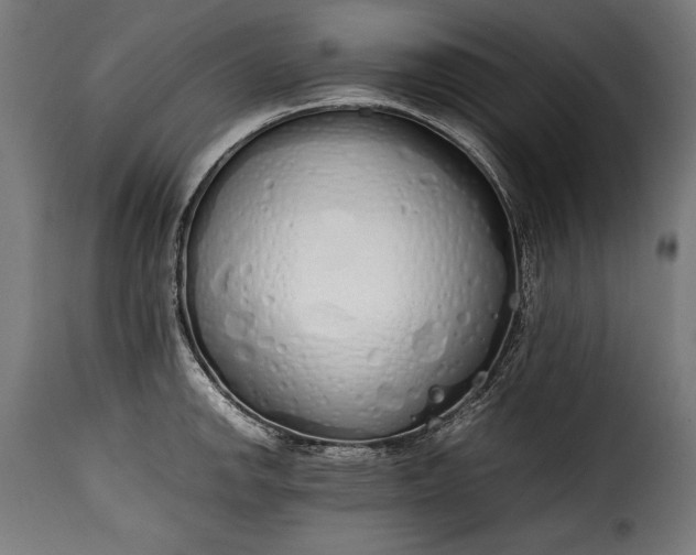 X0000115621142200911241618