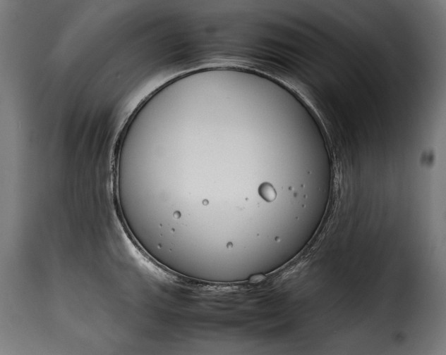 X0000115621143200911241618