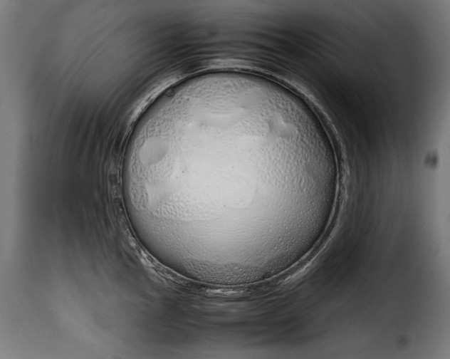 X0000115621145200911241618