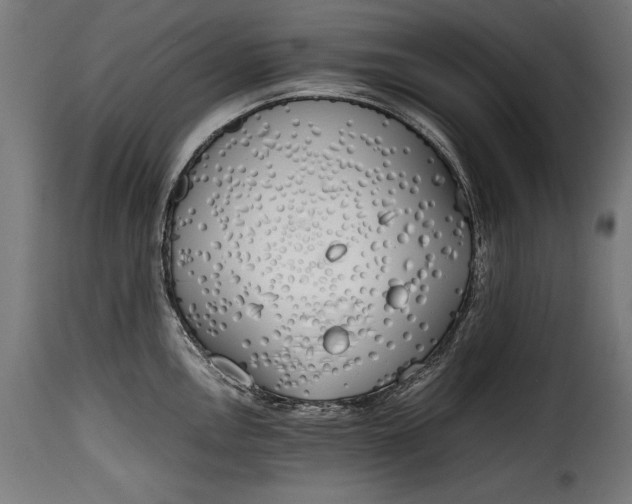 X0000115621146200911241618