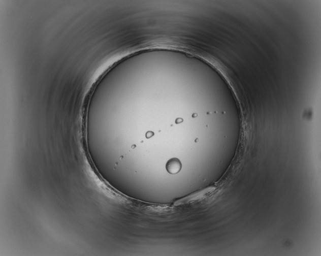 X0000115621147200911241618