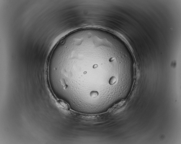 X0000115621149200911241618