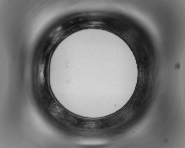 X0000115621150200911241618