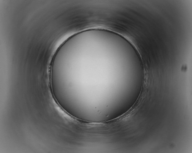 X0000115621151200911241618