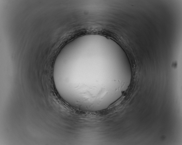 X0000115621153200911241617