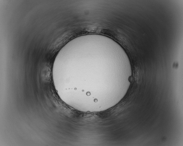 X0000115621154200911241617