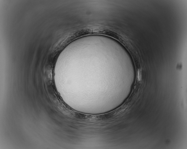 X0000115621155200911241617