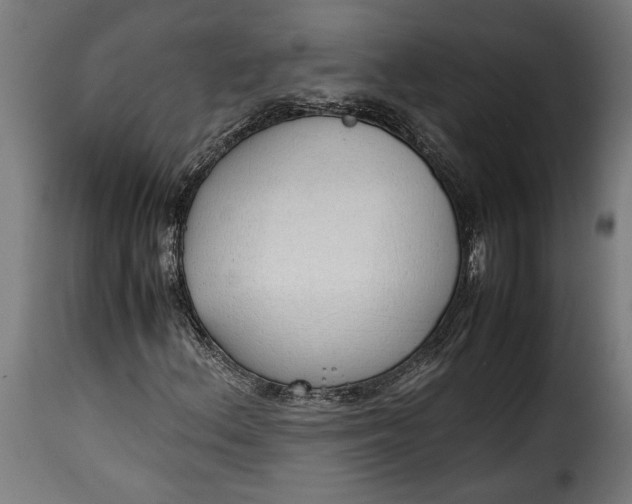 X0000115621156200911241617