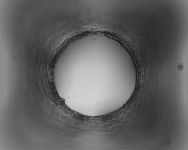 X0000115621157200911241617