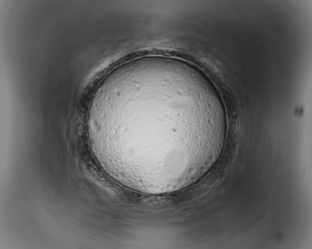 X0000115621159200911241617