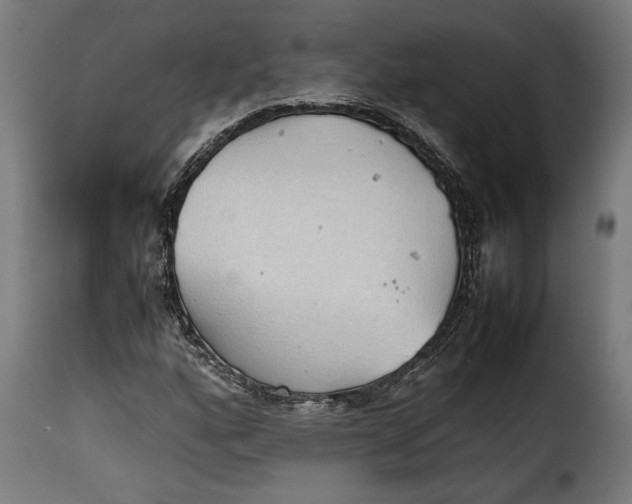 X0000115621160200911241617